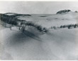 R. Hausmann, Dunes mer Baltique, 1927 (circa)